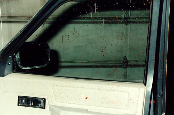bloody window